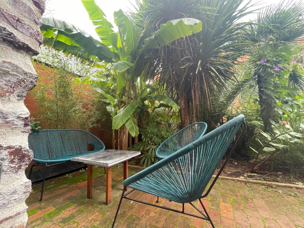 La petite maison dans la jungle photo 2