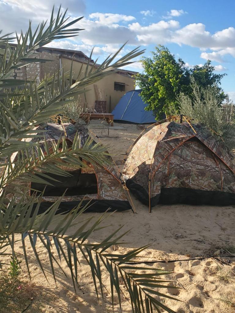 2 pers tent photo 3