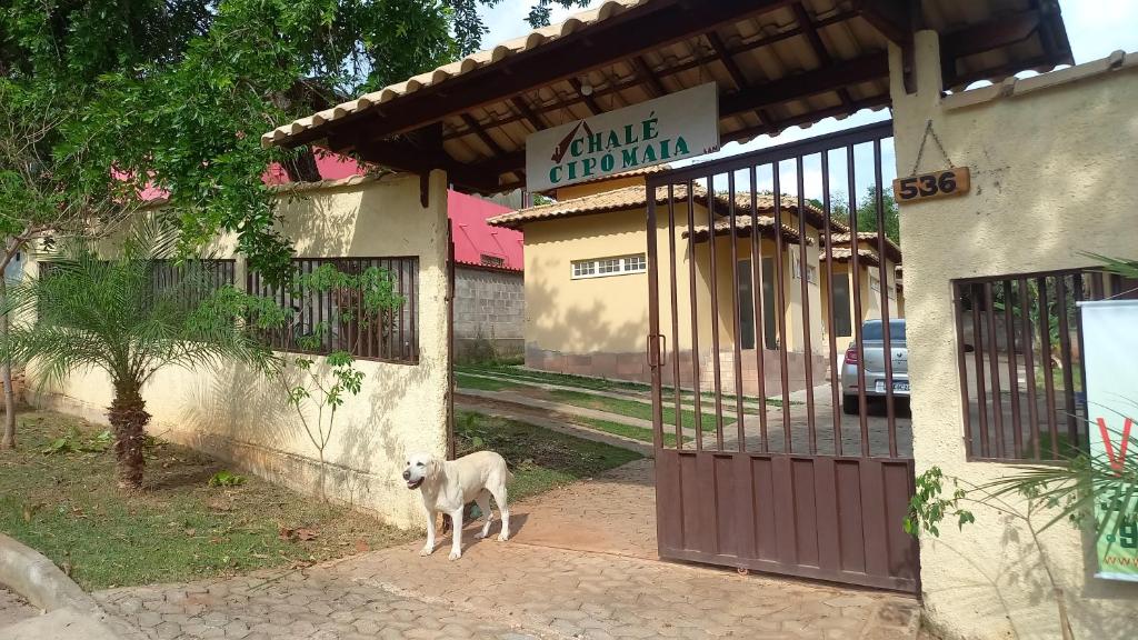Chalé Cipó Maia photo 2