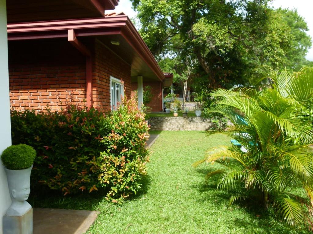 Suriya cottage Habarana photo 1