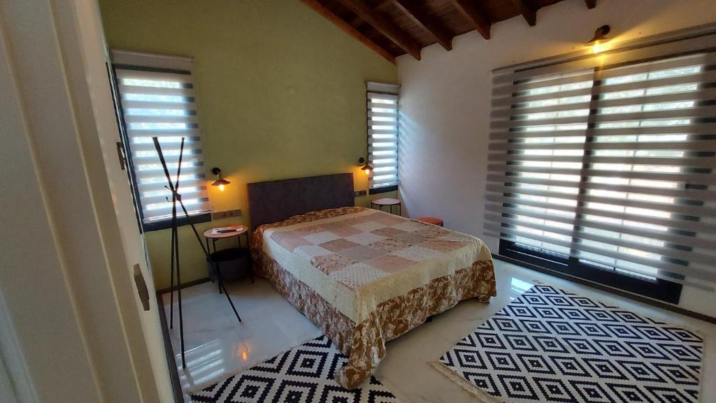 Villa olive junior photo 3
