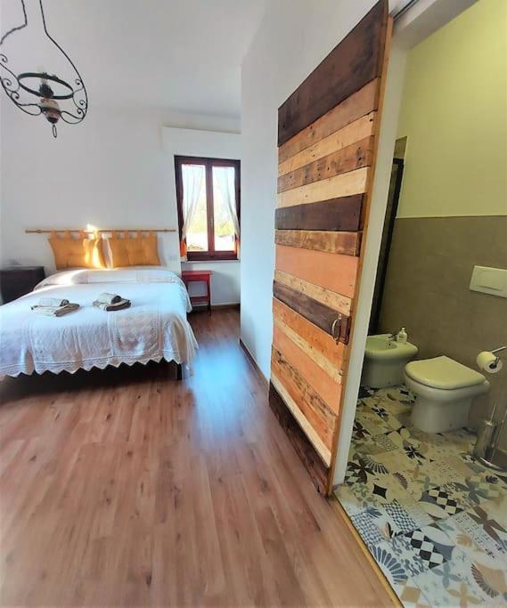 Podere La Machiusa - Villa with pool photo 4