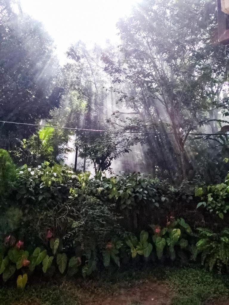 Hiru Resort Inn Unawatuna photo 1