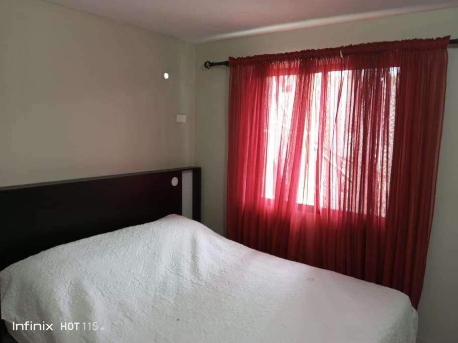 Lindo apartamento photo 4