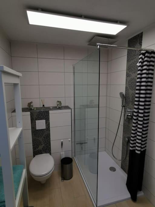 Altes Gut Berka photo 4