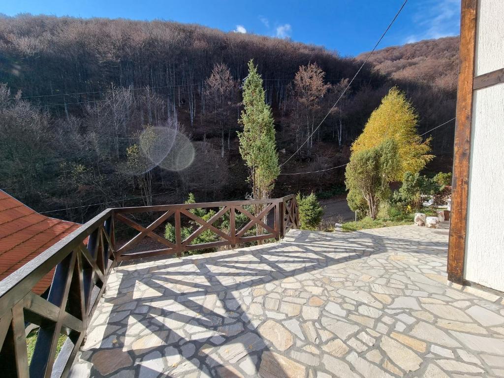 APARTMAN NA STAZI - Bela Reka, Kopaonik photo 1