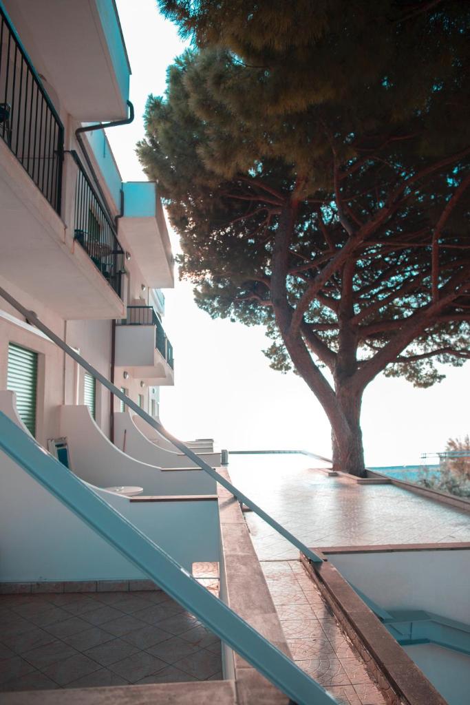 Hotel Ligure photo 1