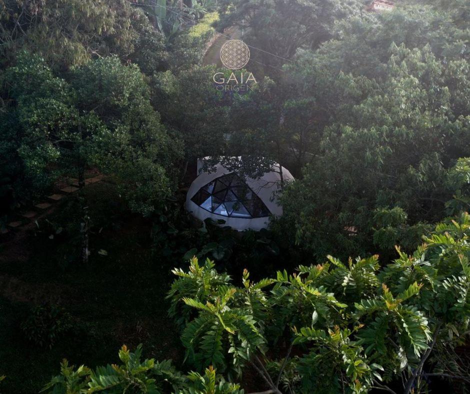 Glamping Gaia Origen en Cali - Cabaña y Domo Geodésico a 10 min de los Gatos del Río photo 4