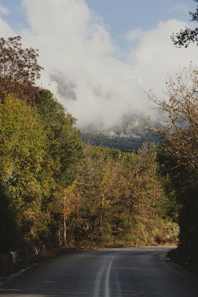 Country House photo 4