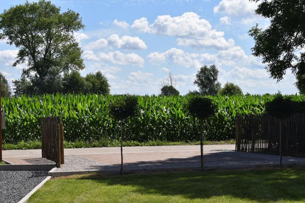 Cosy Cott, een verborgen logeerplek in het landelijke Poeke. photo 2