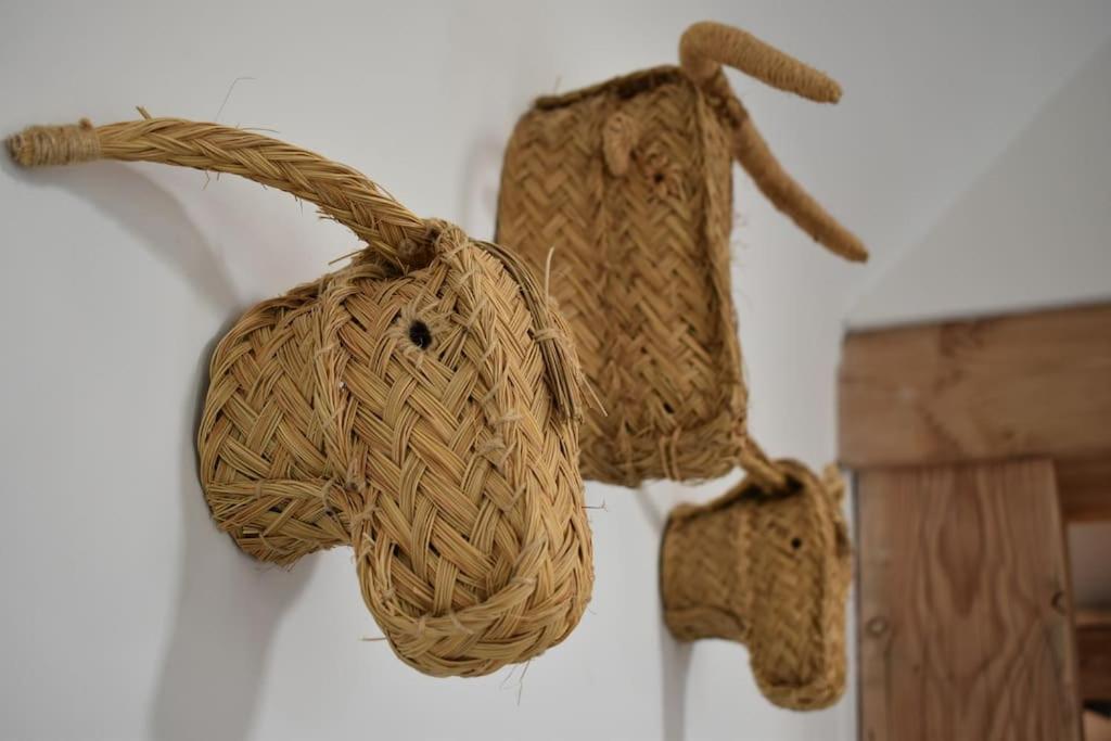 Cosy Cott, een verborgen logeerplek in het landelijke Poeke. photo 4