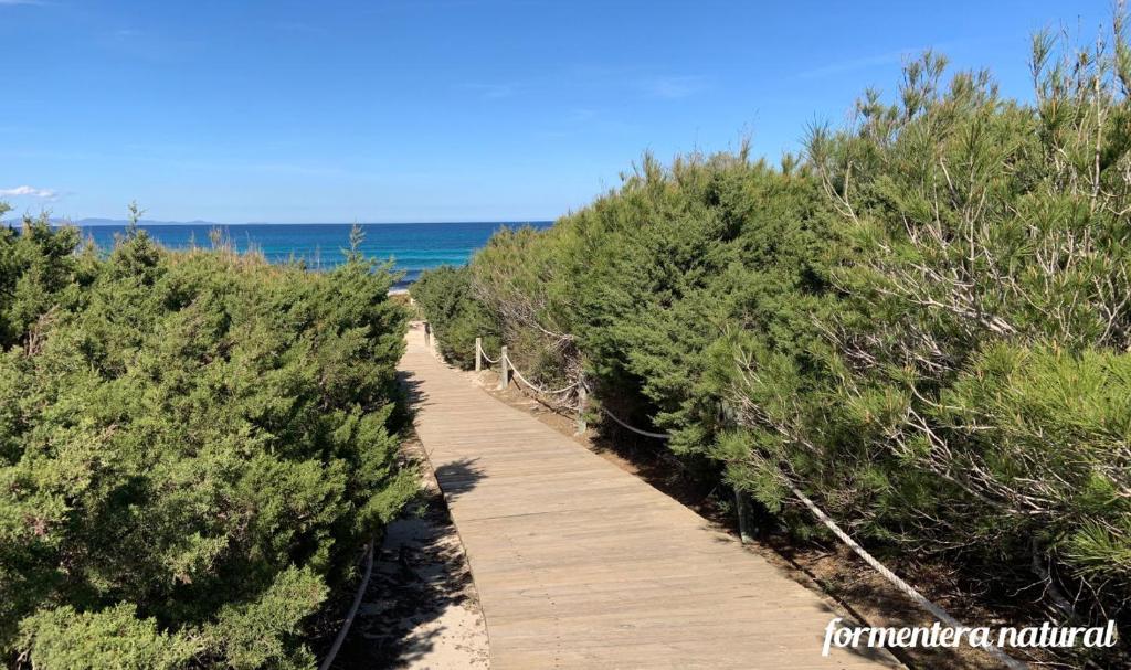 Apto Mar de Es Caló, a metros de la playa - Formentera Natural photo 4