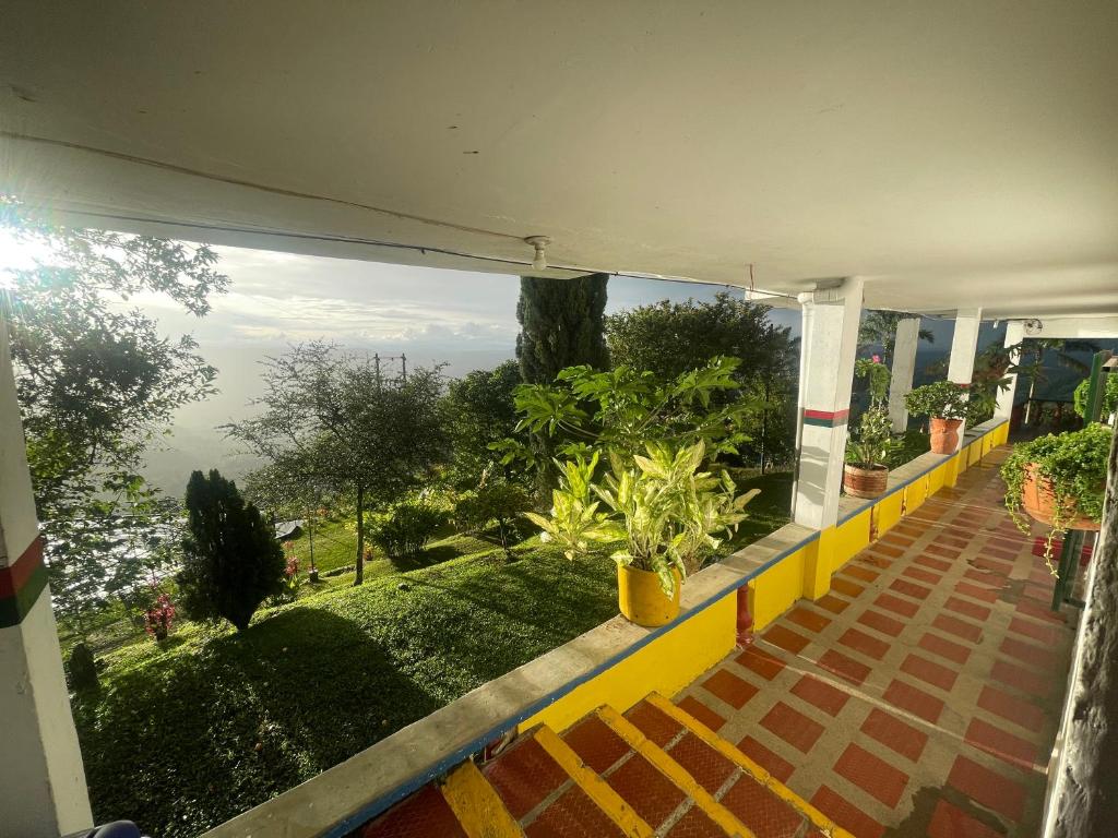 El Gran Mirador photo 2