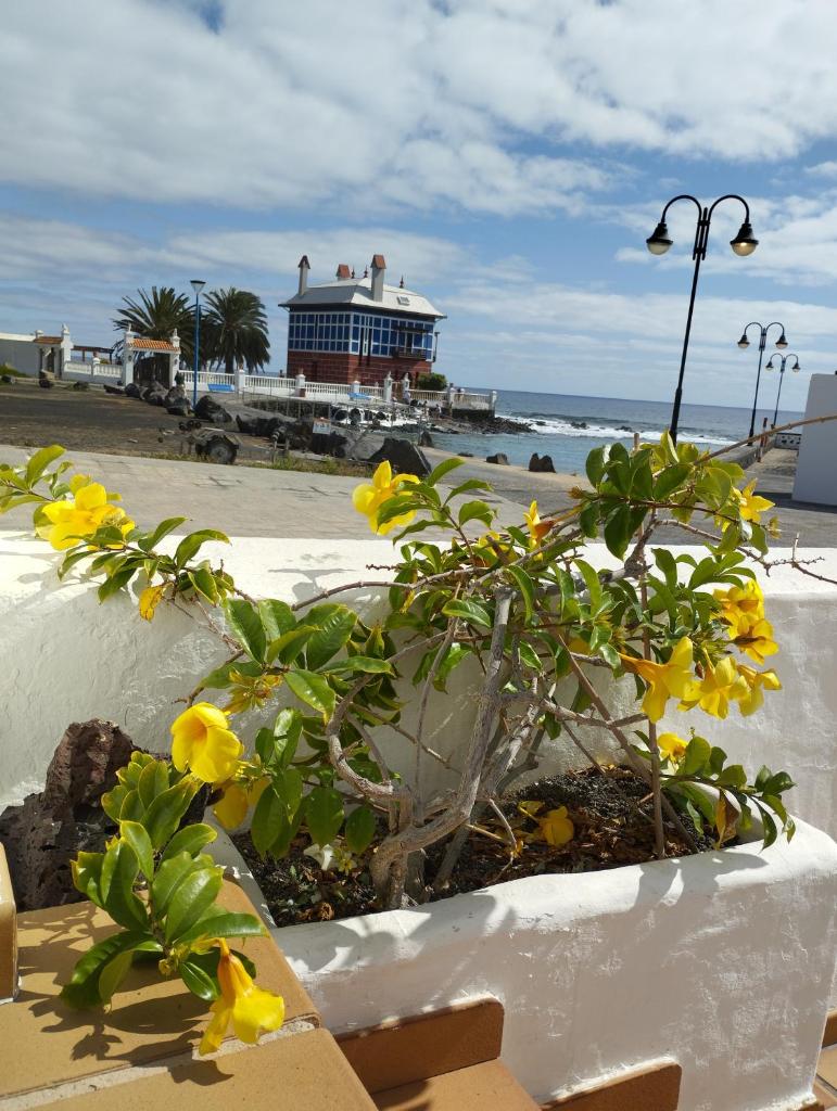 Terraza del mar photo 1
