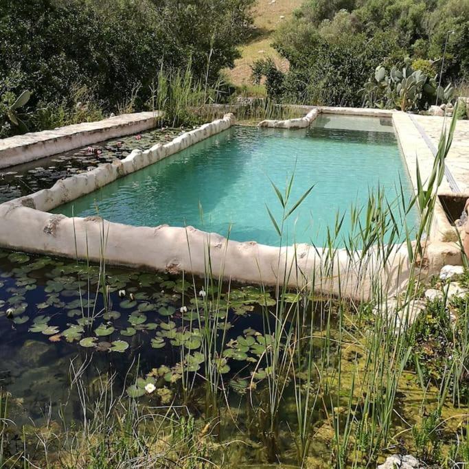 Son Vell. Mallorca. Casa amb piscina ecològica. photo 1