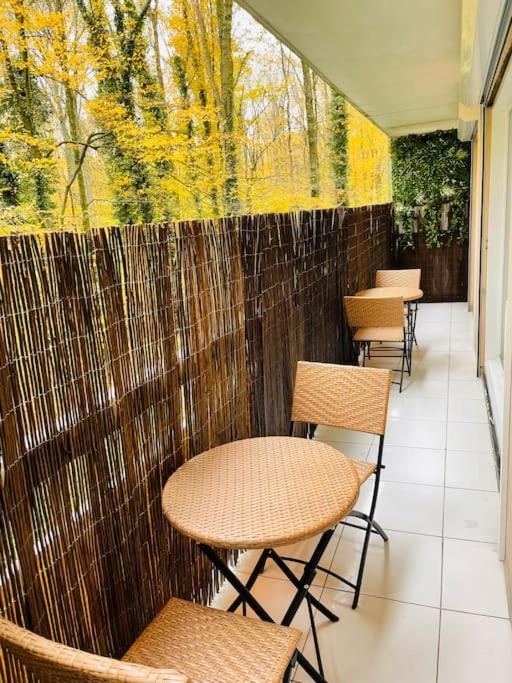 appartement haut standing -CDG-DISNEY-PARIS photo 4
