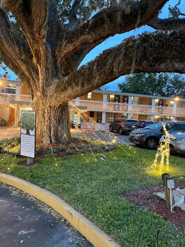 Castillo Inn photo 1