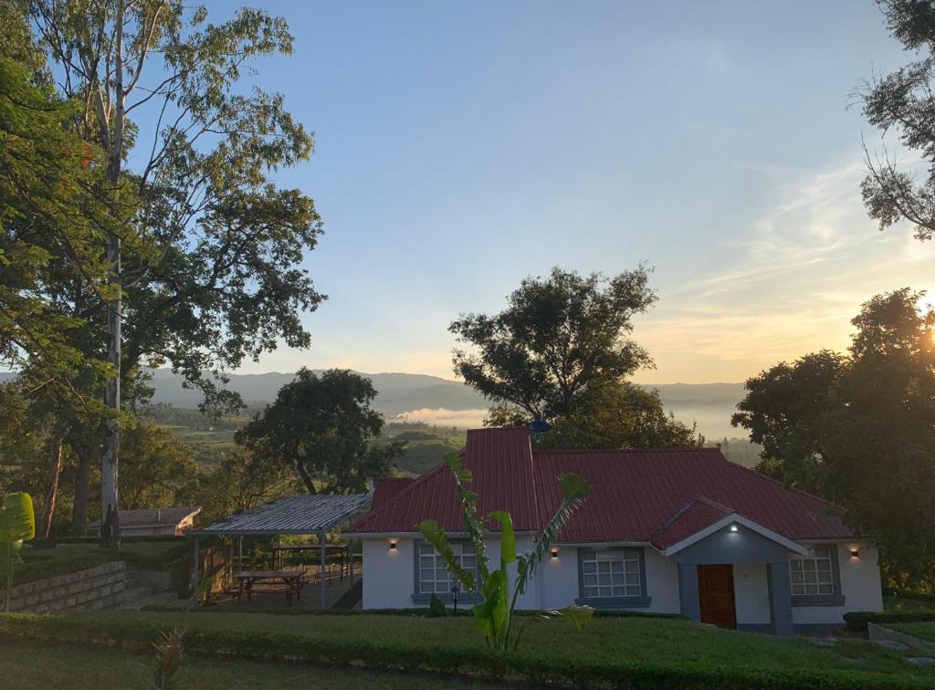 Koru Farm Retreat photo 2