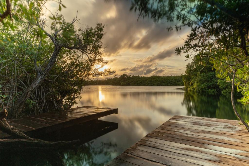Yaxchen Tulum Cabañas & Cenote