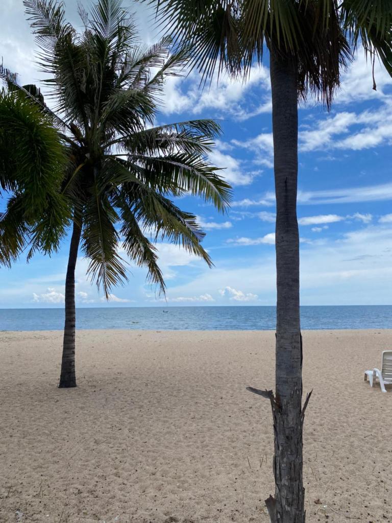 Beach Front Apartment with Beach and Pool view photo 3