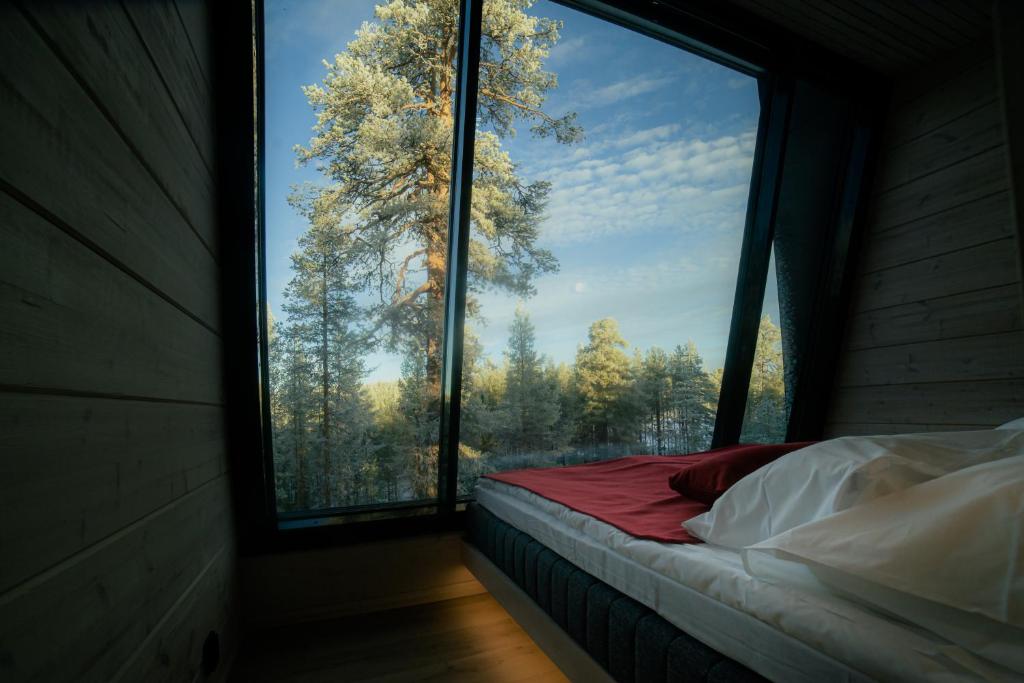 Salla Wilderness Lodges photo 2