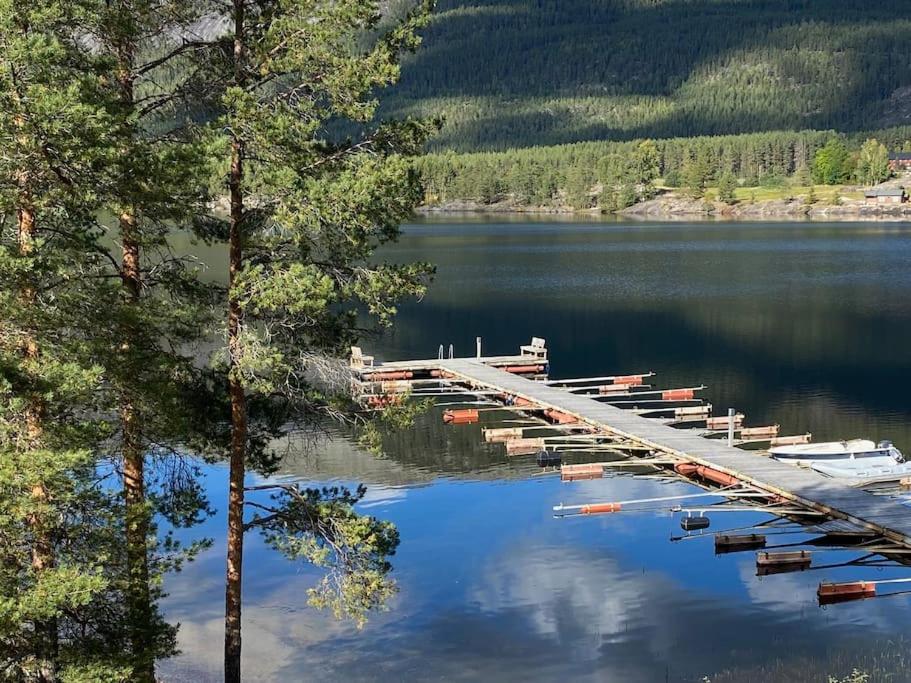 Laftet hytte i strandkanten med bade og fiske muligheter photo 2