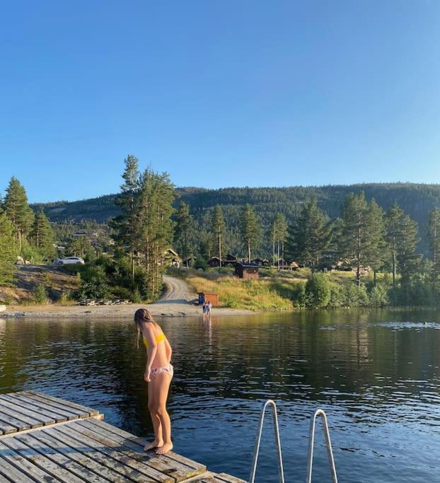 Laftet hytte i strandkanten med bade og fiske muligheter photo 4