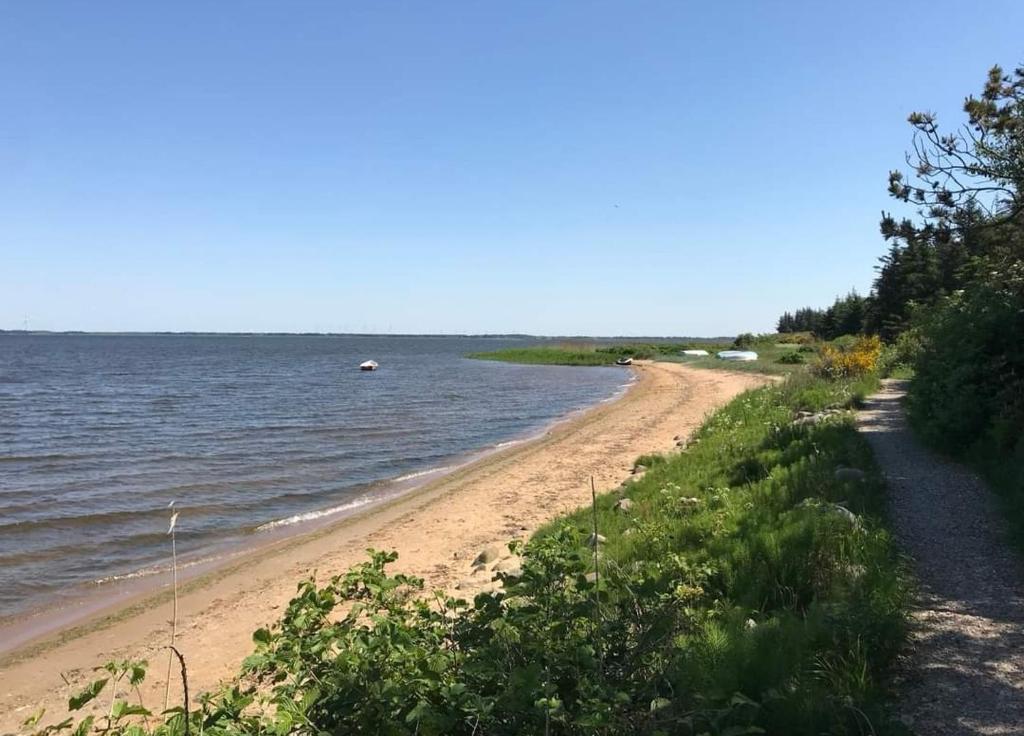 Sommerhus ved Vesterhavet photo 2