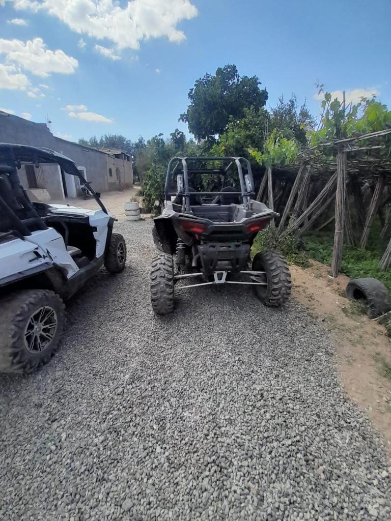 BLIDA QUAD BIKERS