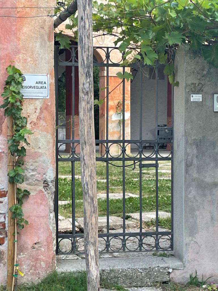 Alla vigna photo 2