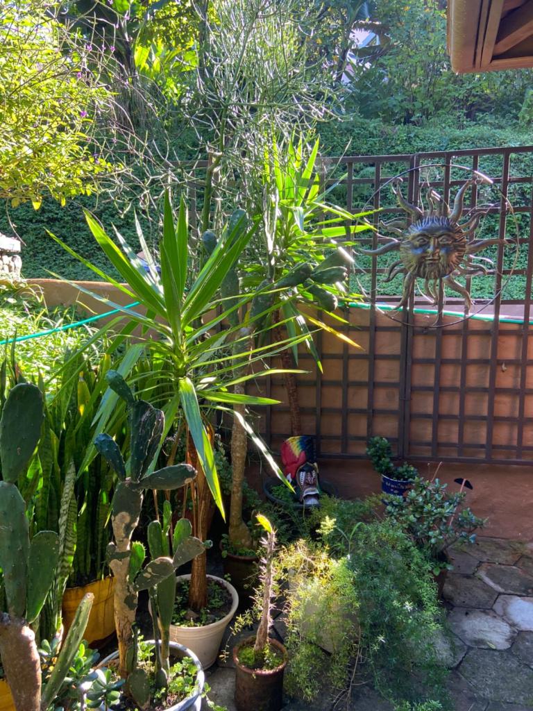 The Casita at The Boquete Hacienda photo 1