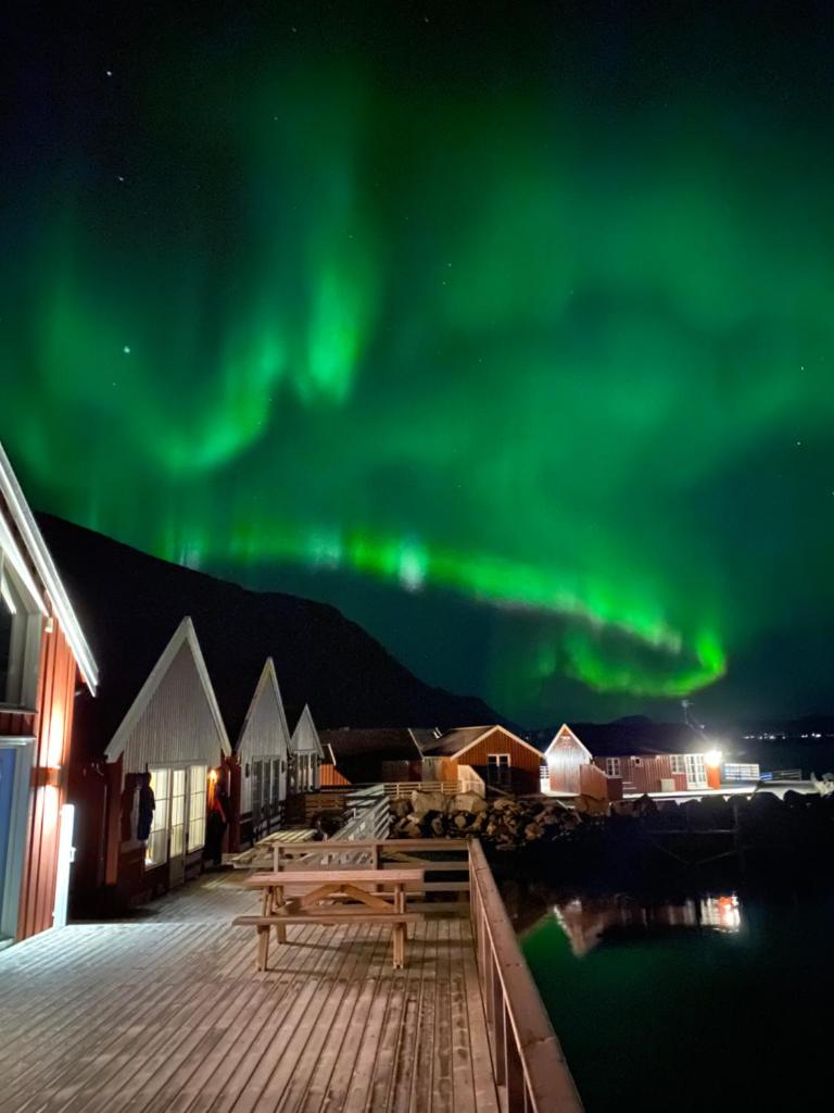 Rorbu i Lofoten photo 2