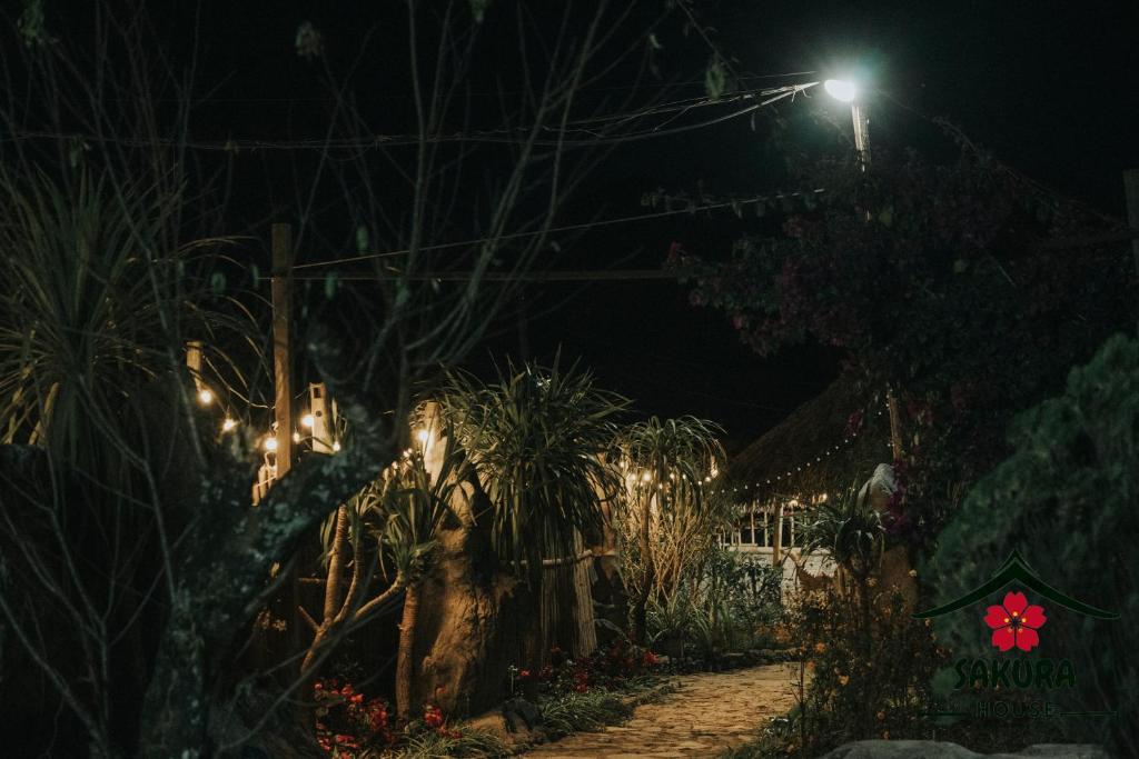 SAKURA House