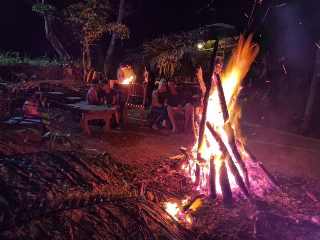 Ella Glamping photo 4