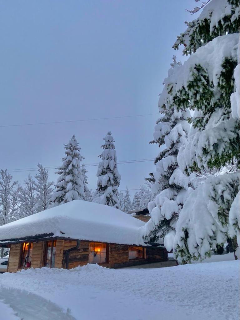 Mountain house Beauty of Laz photo 2