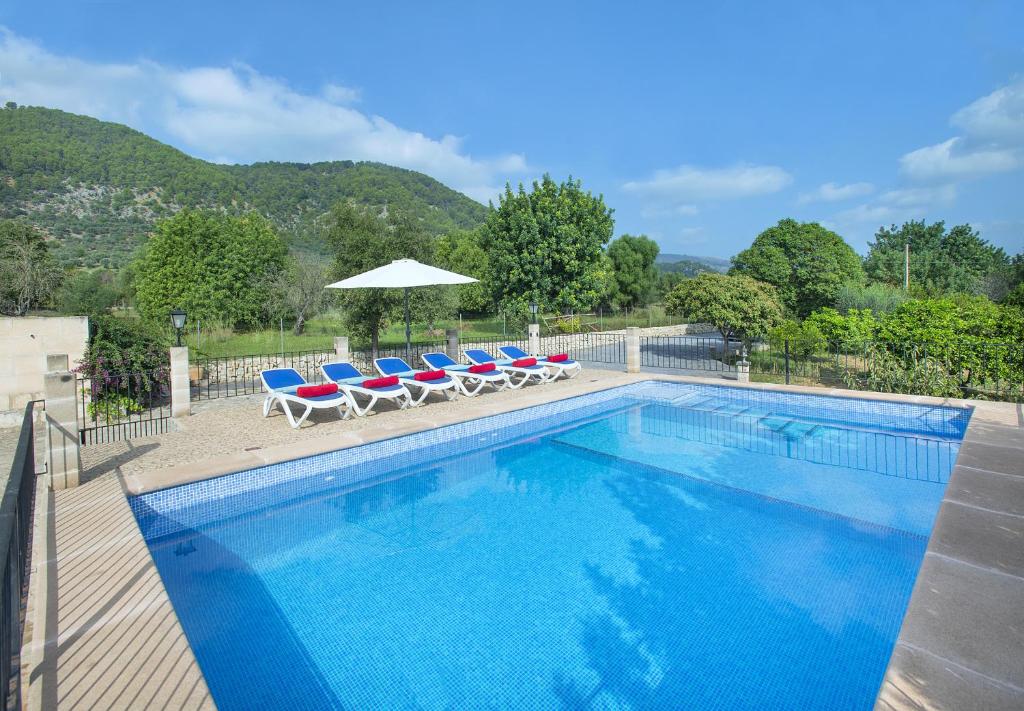 Owl Booking Villa Sedes - Dive Into Nature photo 1