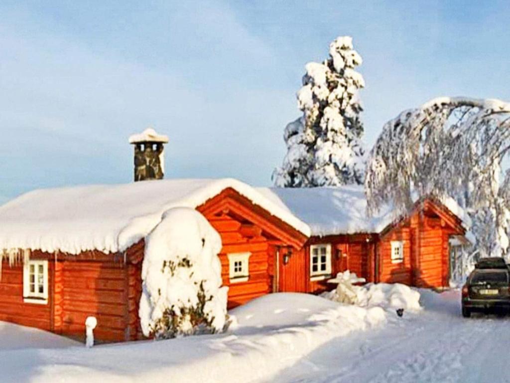 Holiday home Krøderen photo 1