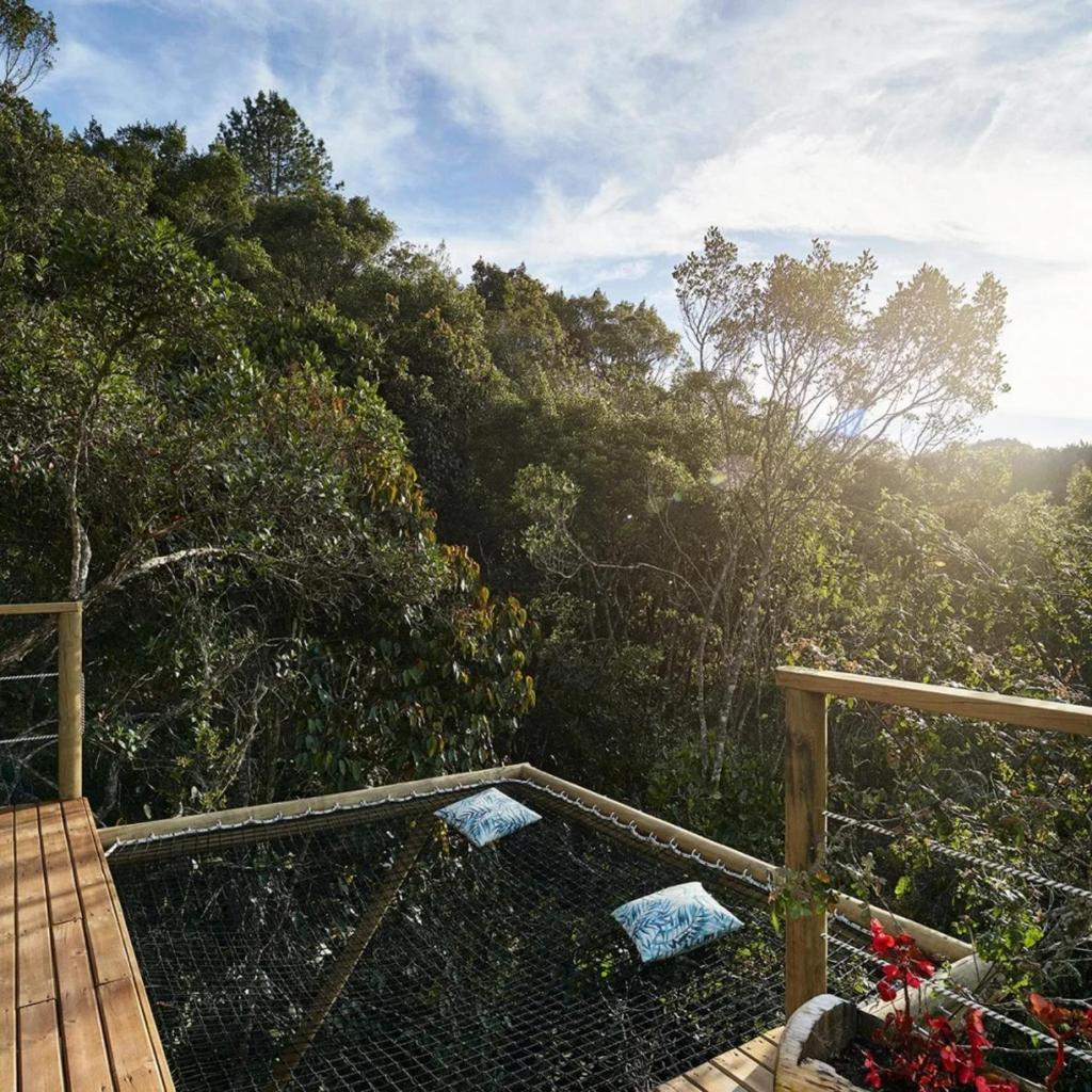 BubbleSky Glamping 40 min from Medellin photo 4