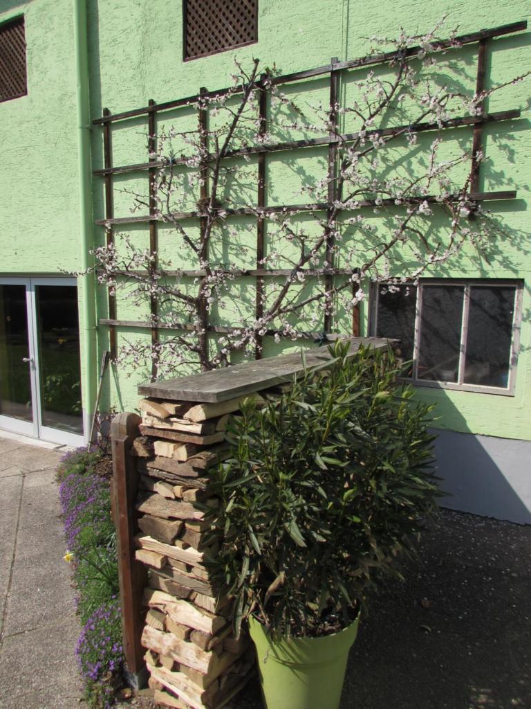 Landgasthaus Lehnerwirt photo 3