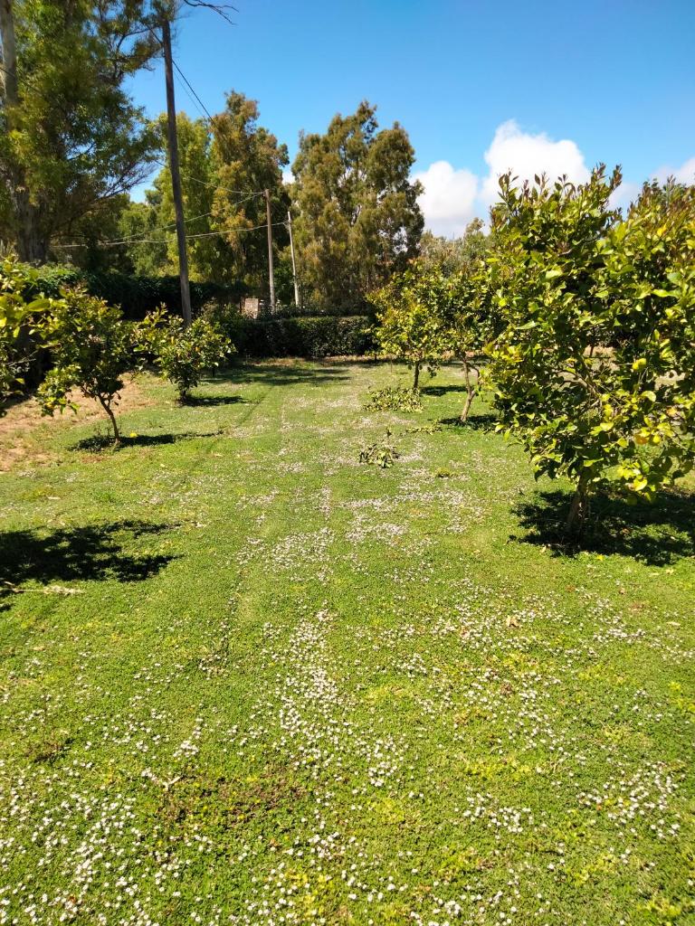 Agriturismo i doni del mandorlo photo 2