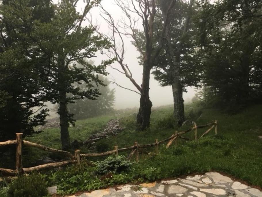 Planinska kuća na Velebitu, s pogledom na more photo 3