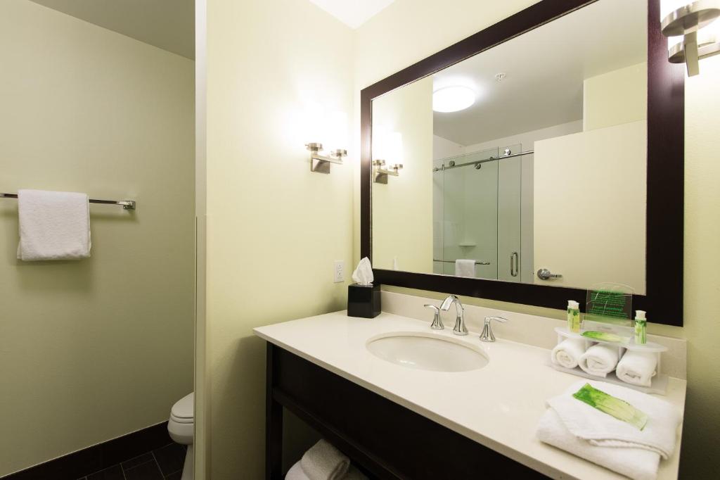 Holiday Inn Express & Suites Aiken, an IHG Hotel photo 3