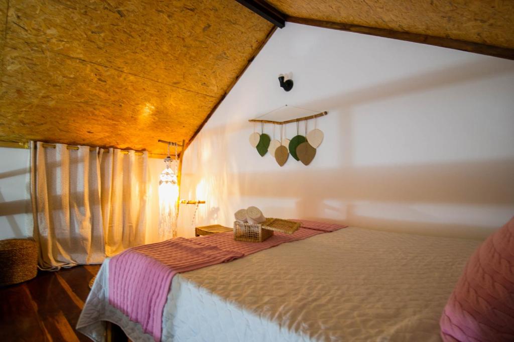 Casa Mangue photo 4