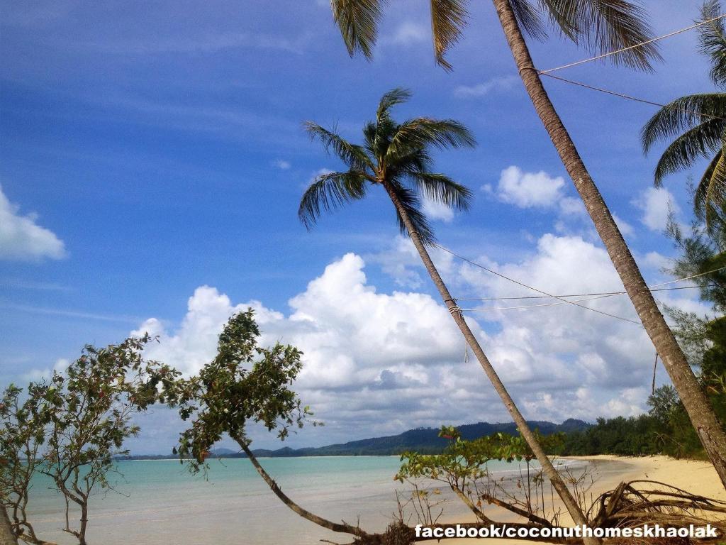 Coconut Homes Khao Lak photo 4