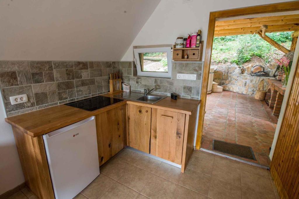 Holiday home in Novo Mesto - Dolenjska Bela krajina Unter- Weißkrain 35158 photo 1