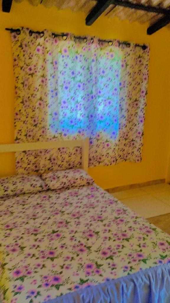 Parati suite