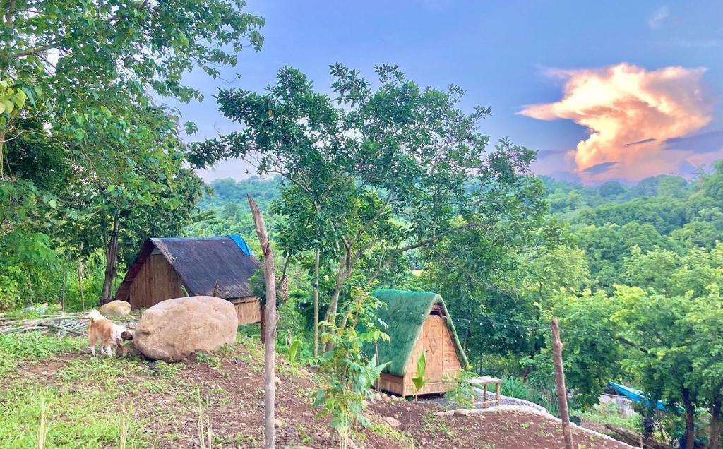 Camp Del Juana in Morong Rizal photo 1