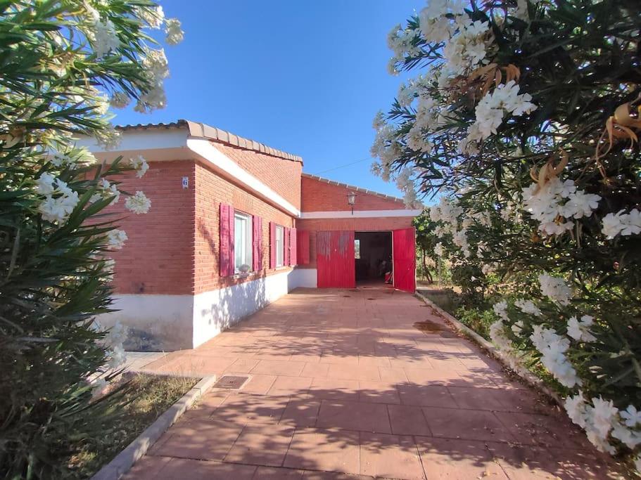 Chalet de Tony Verde en plena naturaleza photo 1