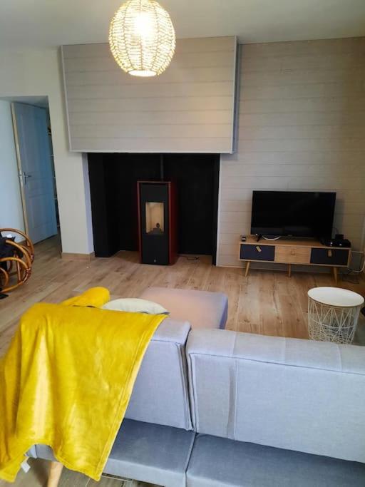 Gîte chaleureux avec SPA privatif photo 1