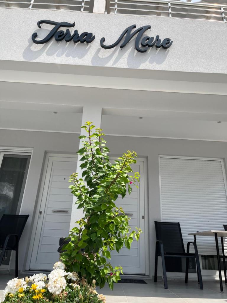 Terra Mare photo 1